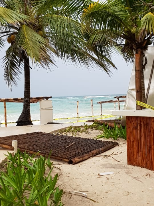 Gartenanlage Akumal Bay Beach & Wellness Resort