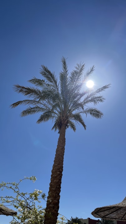 Strand Arabia Azur Resort