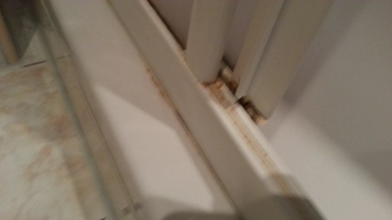 Neben einem „feinen Chlorgeruch“ beeindruckte beso Ferienhaus Duinloop