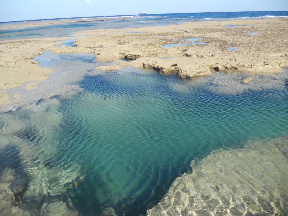 Hotelriff Sea Hug Resort