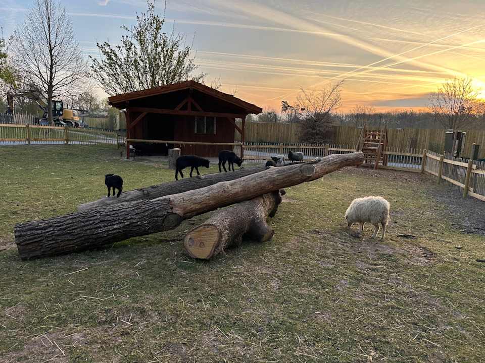 Ausblick Natur-Resort Tripsdrill