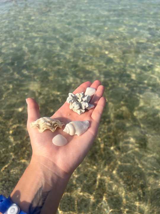 Strand Lazuli Hotel Marsa Alam