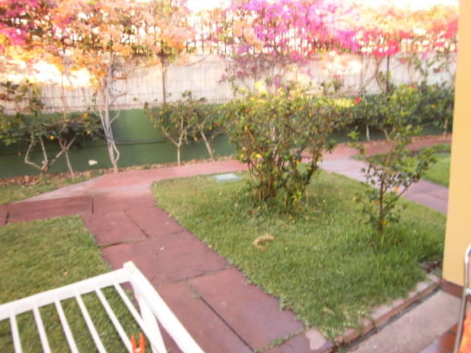 Vorgarten Artemisa Gay Bungalows