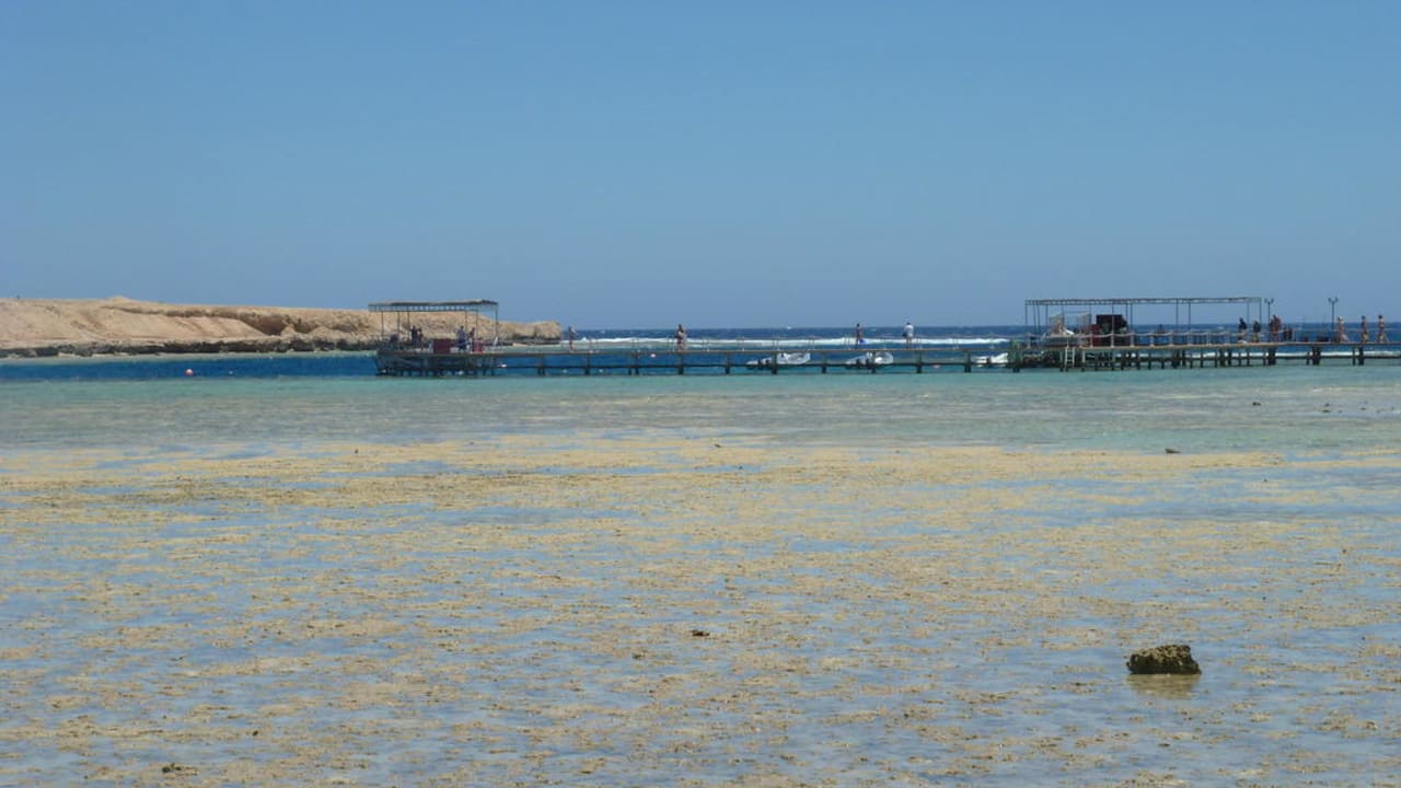 Blick bei Ebbe über die Bucht Jaz Dar EL Madina