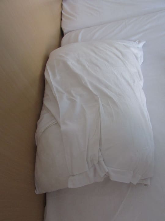 Zimmer Hotel Mena Palace