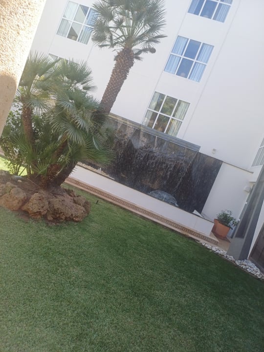 Gartenanlage allsun Hotel Cormoran
