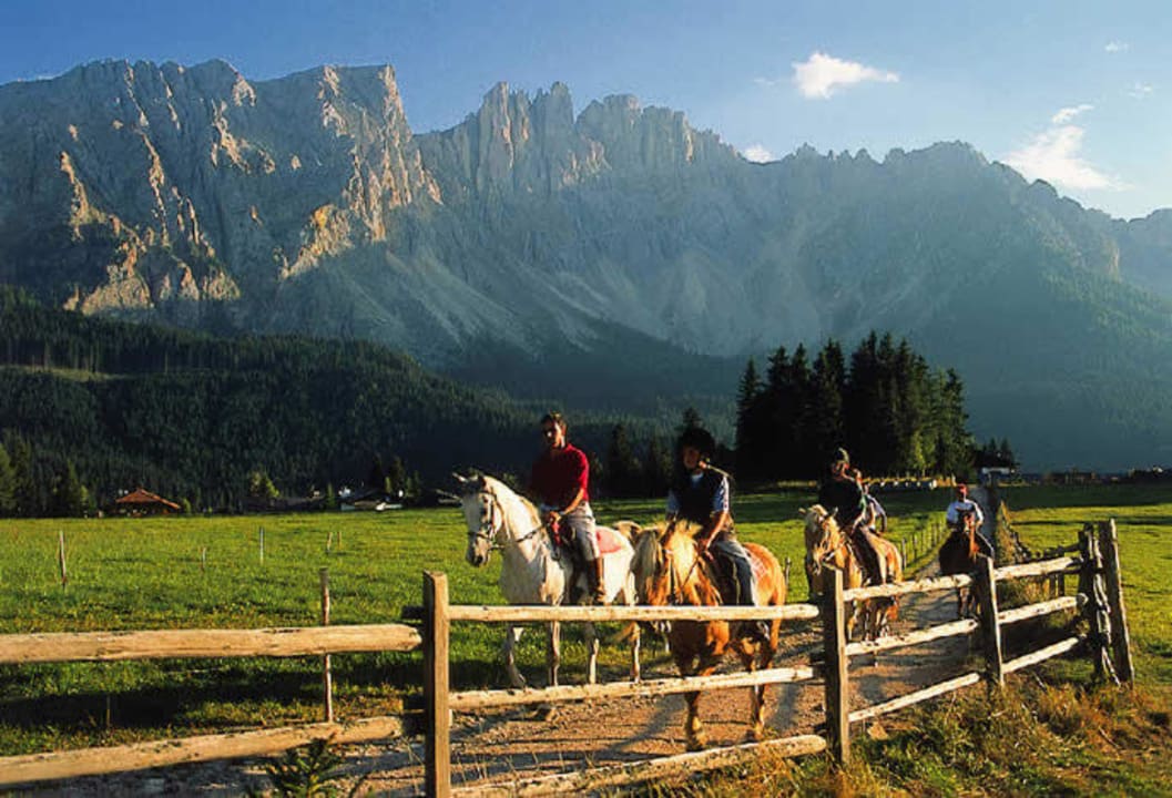 Reiten auf der Angerle Alm Angerle-Alm