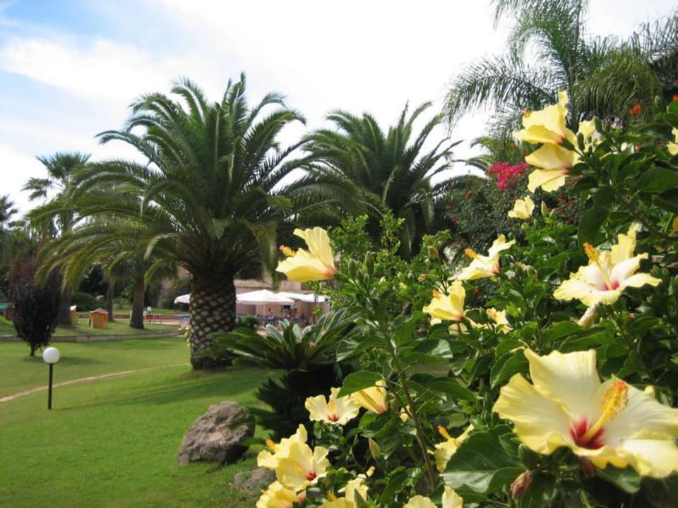 Baia delle Palme Residence Baia delle Palme