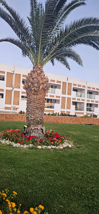 Ausblick Pickalbatros Golf Beach Resort