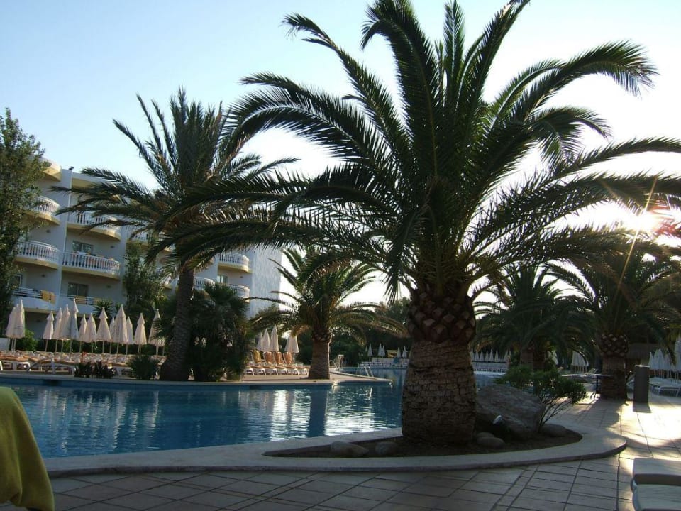 Pool am Morgen Iberostar Selection Albufera Park