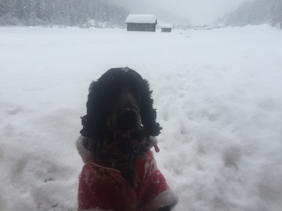 Sonstiges Hotel Sonnblick