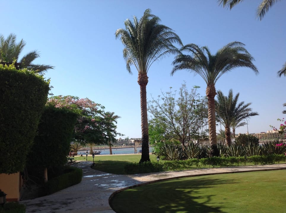 Weg Richtung Strand Steigenberger Coraya Beach - Adults only