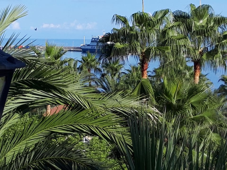 Ausblick Oscar Resort Hotel