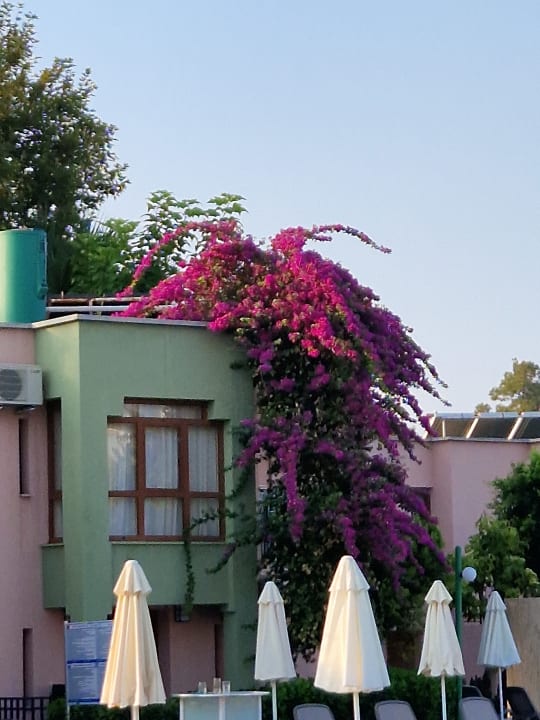 Zimmer VONRESORT Golden Beach