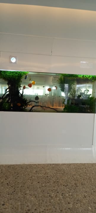 Lobby The Sea Hotel by Grupotel - Adults only