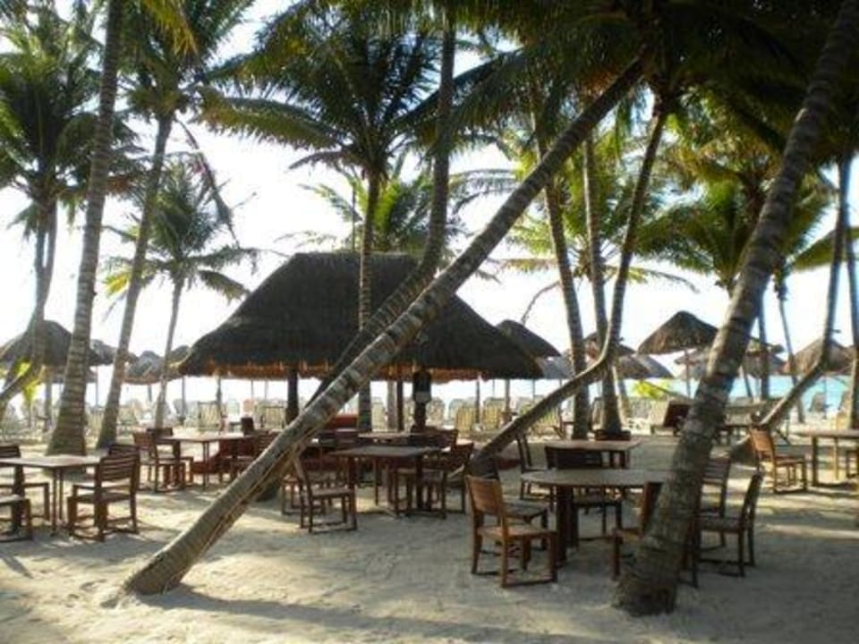 Strandbar Hotel Las Palapas