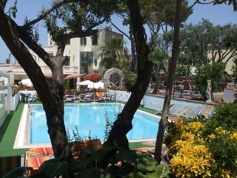 Blick auf den Pool Hotel Villa Hibiscus