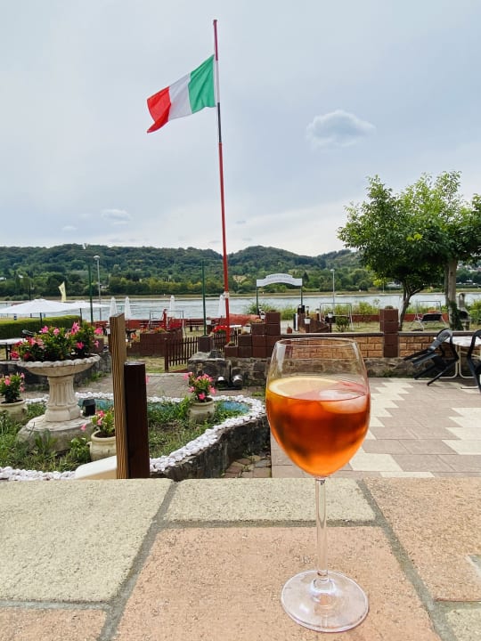 Gartenanlage Hotel Bellavista