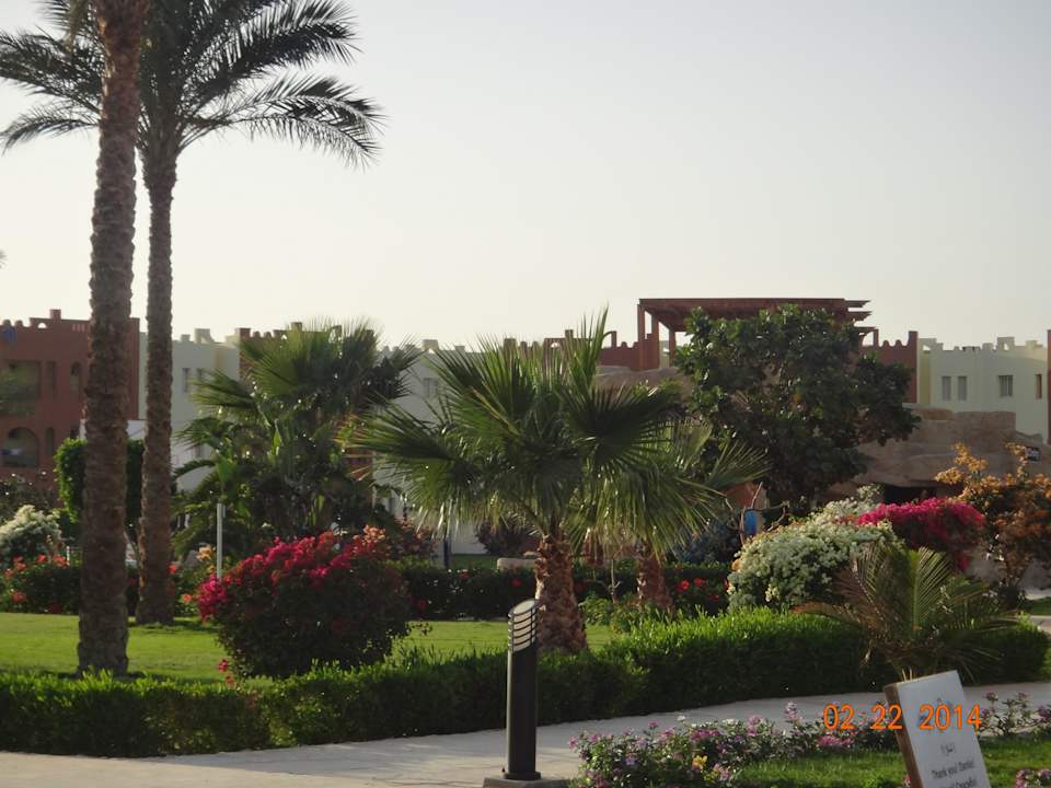 Газончики, пальмочки, цветочки.... SUNRISE Royal Makadi Resort