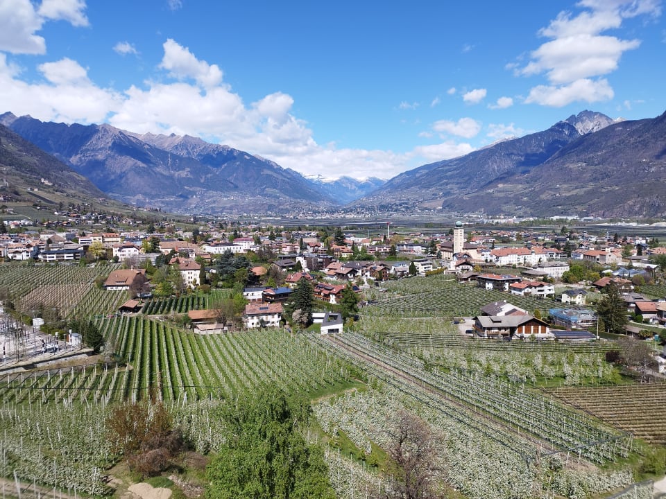 Ausblick Panorama Hotel Garni Bühlerhof