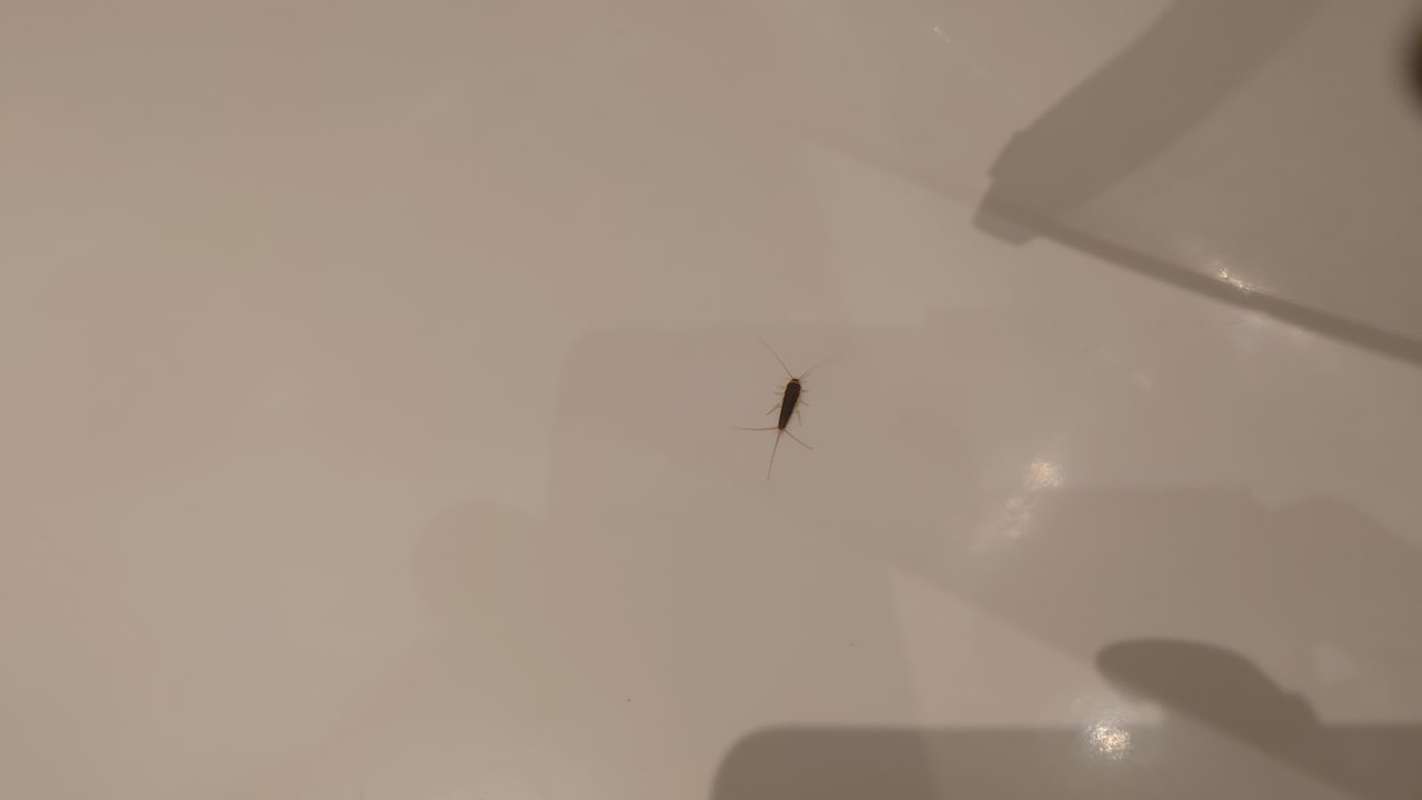 Sonstiges Hotel Garmischer Hof