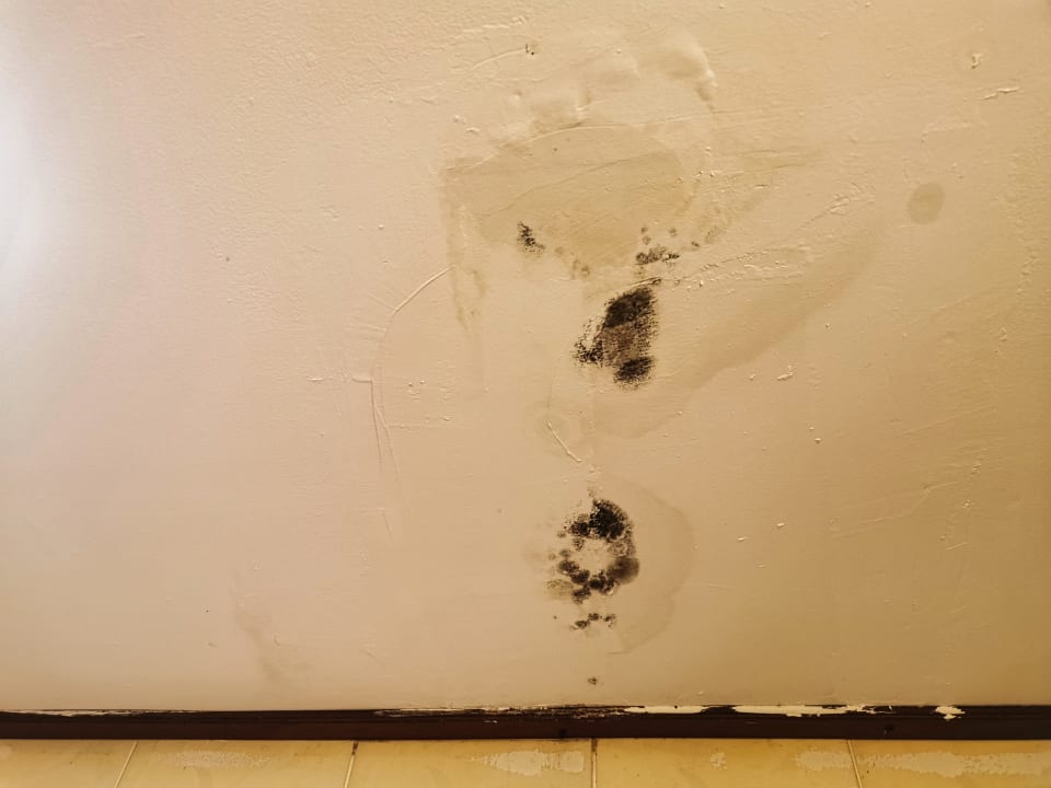 Zimmer Natural Park Resort