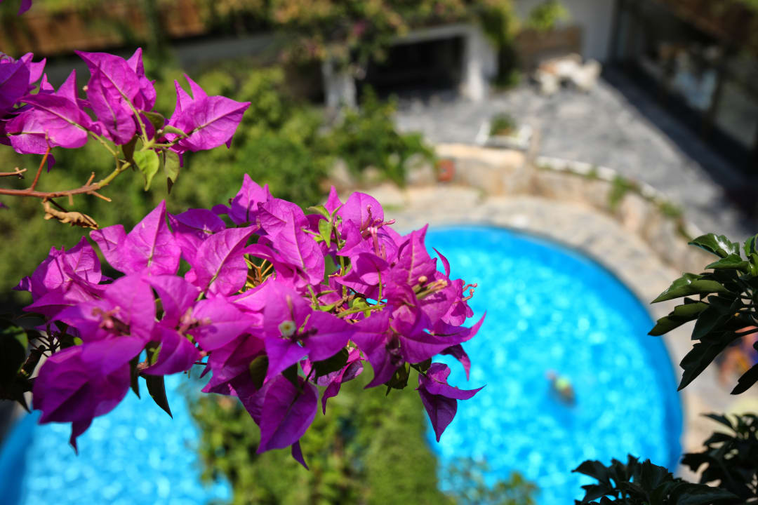 Pool Sitia Beach City Resort & Spa