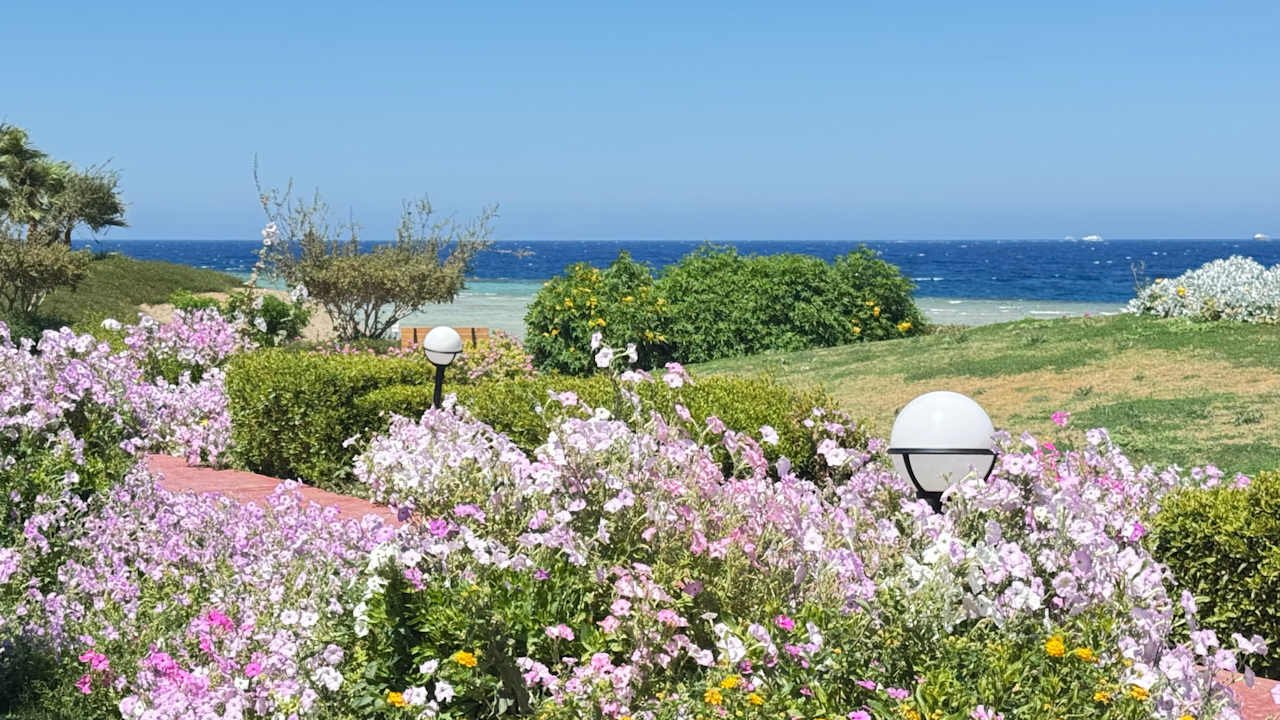 Gartenanlage Three Corners Equinox Beach Resort