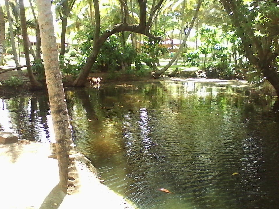 Hausteich  Wyndham Alltra Samana