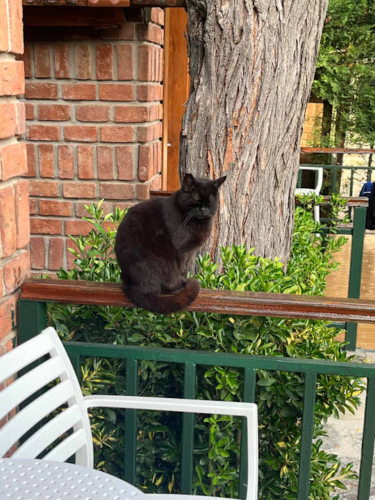 Zimmer Can Garden Beach