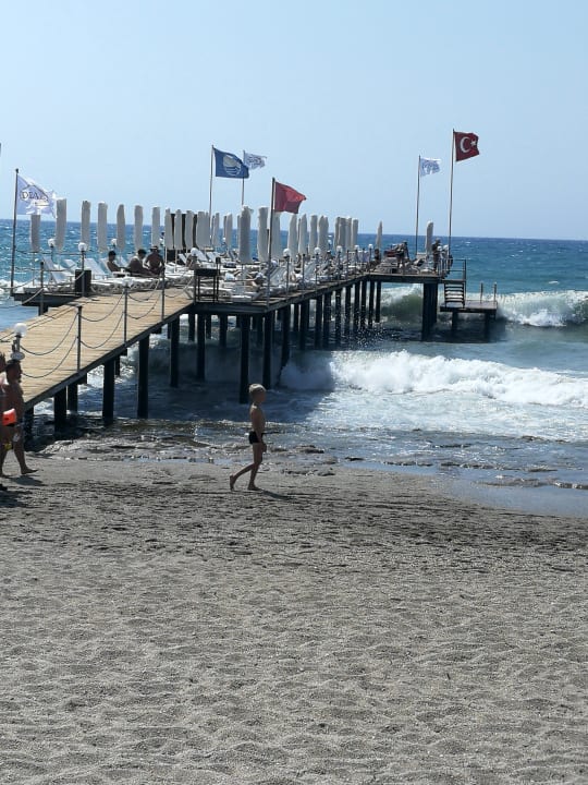 Strand Dizalya Palm Garden