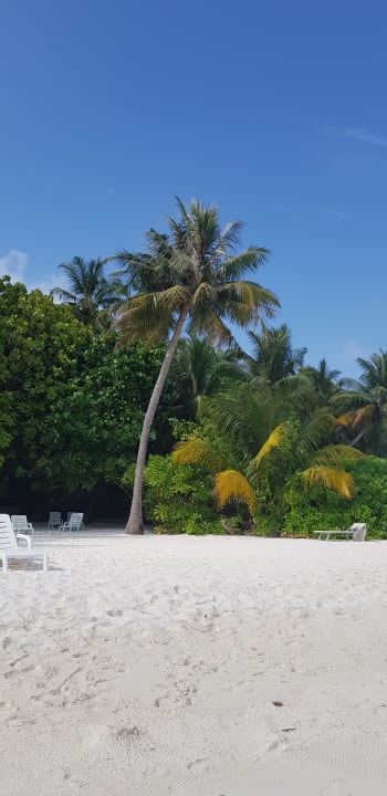 Strand Biyadhoo Island Resort