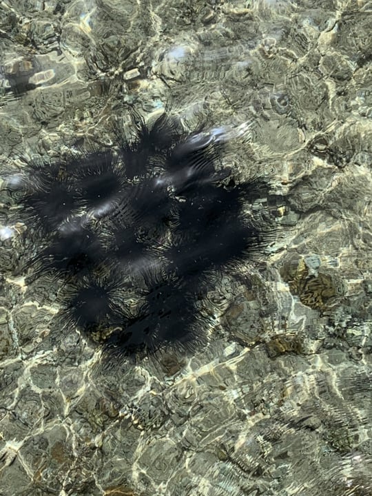 Strand Cleopatra Luxury Resort Makadi Bay