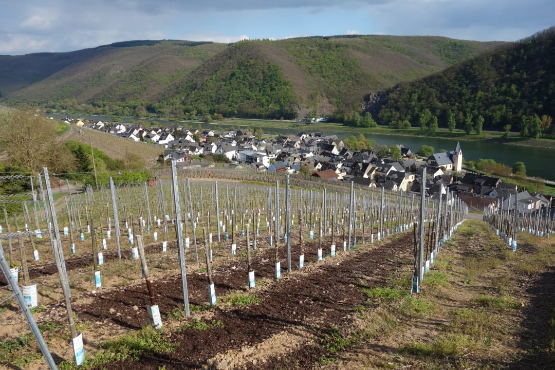 Ausblick Hotel Sewenig