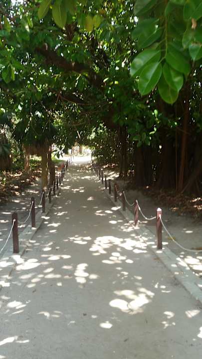 Weg zum Strand  Iberostar Origin Taínos