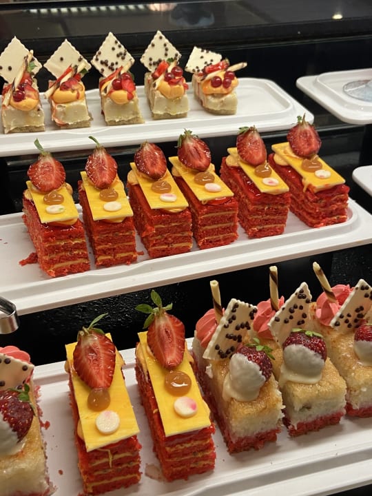 Gastro Paloma Oceana