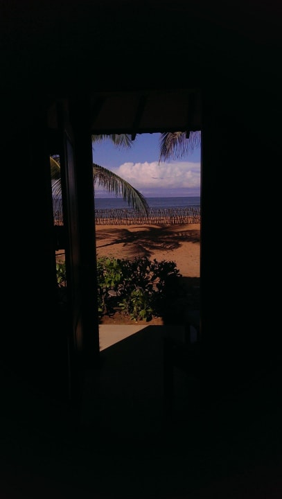 From our bungalow Club Hotel Dolphin