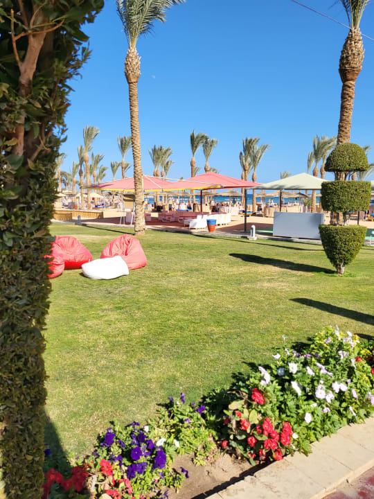 Ausblick Pickalbatros Palace Resort