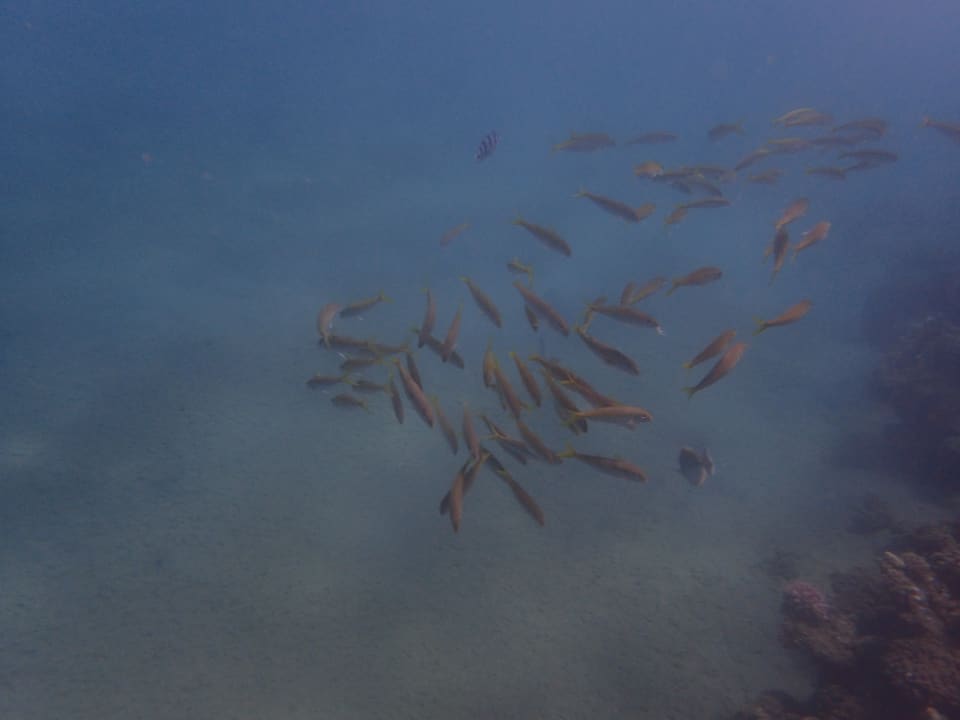 Strand Three Corners Equinox Beach Resort
