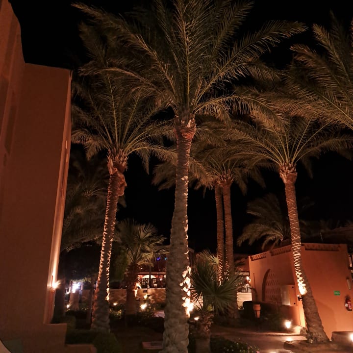 Gartenanlage Jaz Makadi Oasis Resort