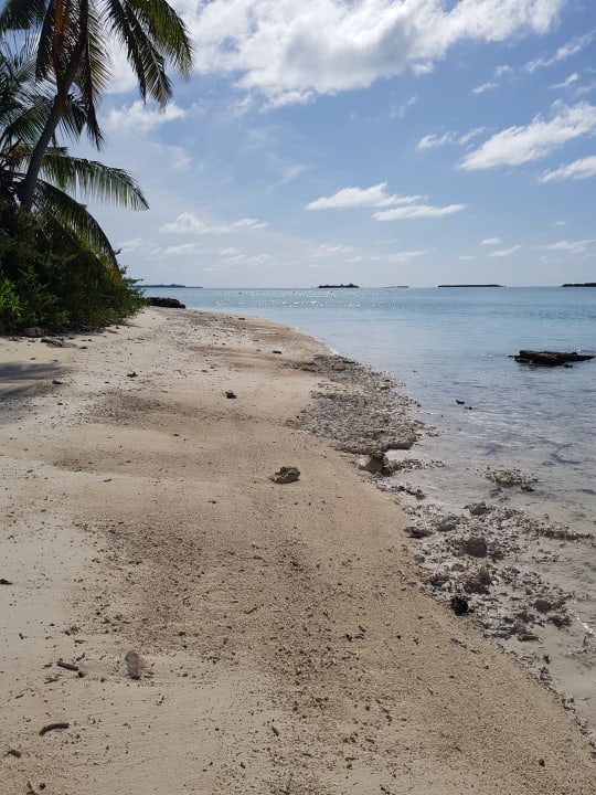 Strand Cinnamon Hakuraa Huraa Maldives