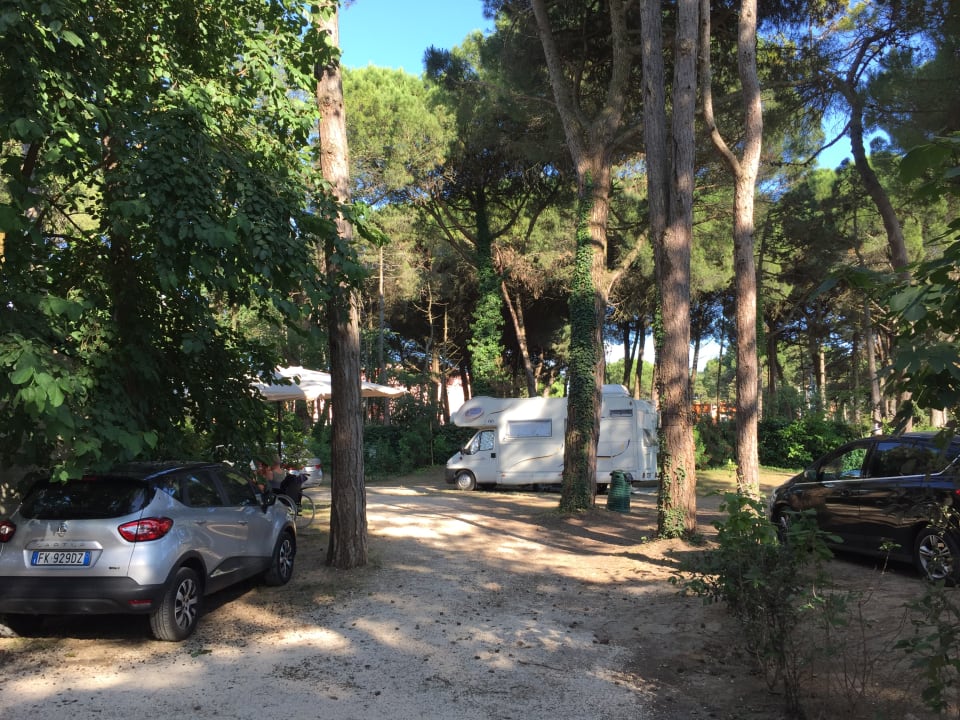 Außenansicht Camping Sabbiadoro