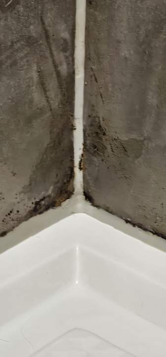 Zimmer Land-gut-Hotel Zur Linde