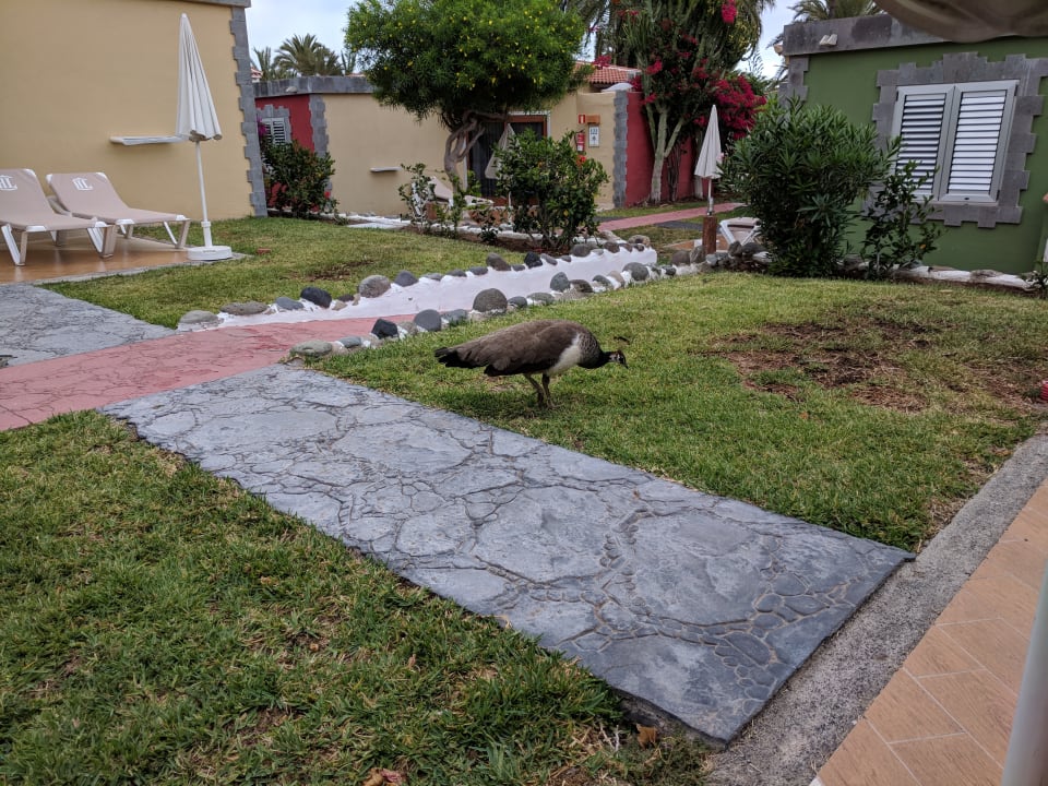 Außenansicht HL Miraflor Suites Hotel