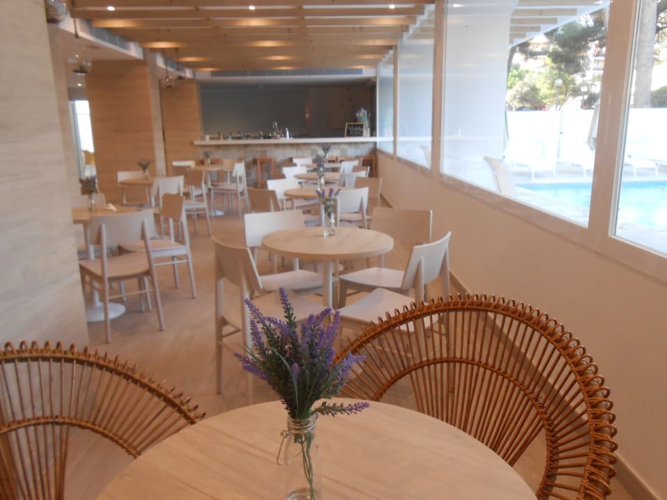 Gastro HSM Son Veri - Adults Only