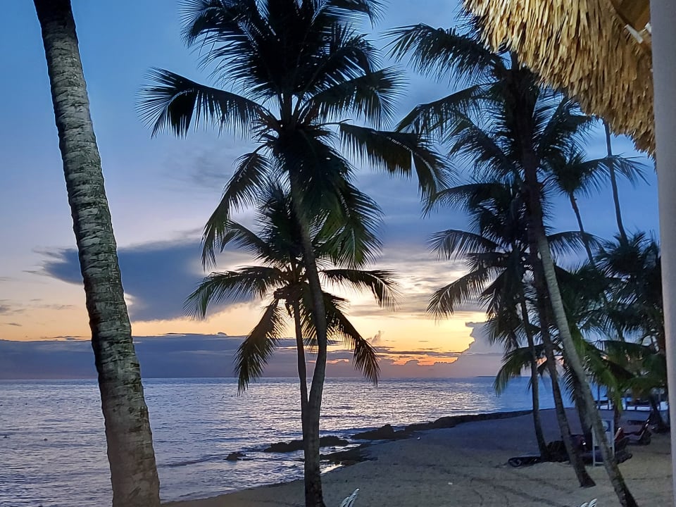 Strand Hotel Viva Dominicus Beach by Wyndham - All Inclusive Resort