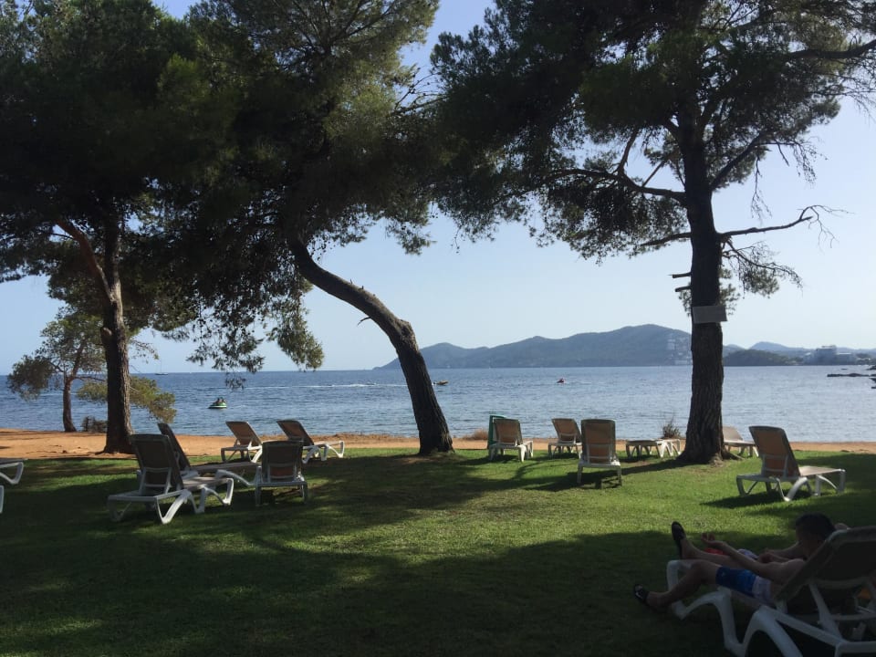Liegewiese am Strand TUI MAGIC LIFE Cala Pada