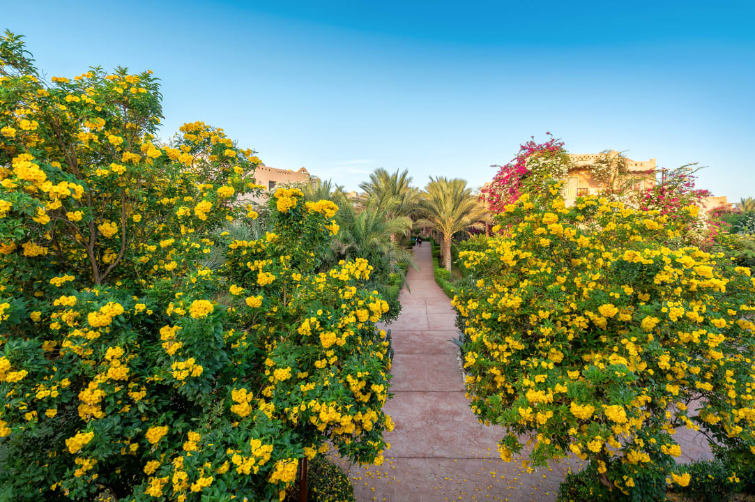 Gartenanlage Dream Lagoon Resort & Aqua Park