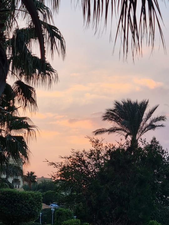 Ausblick Serenity Alpha Beach