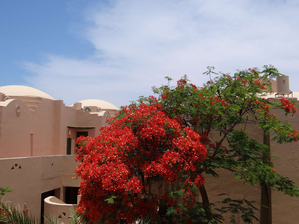 Aussicht vom Balkon Shams Alam Beach Resort